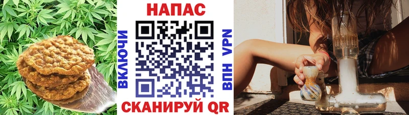 Canna-Cookies конопля  блэк спрут зеркало  Ясногорск 