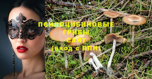 первитин Балахна