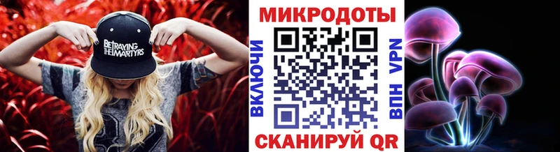 сайты даркнета формула  хочу наркоту  Ясногорск  Псилоцибиновые грибы Psilocybe 